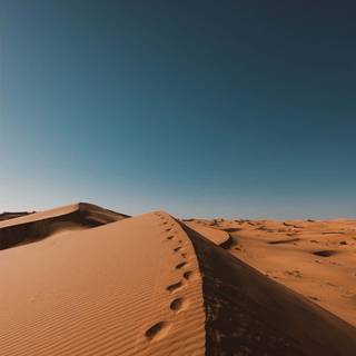 Sahara iPhone wallpaper