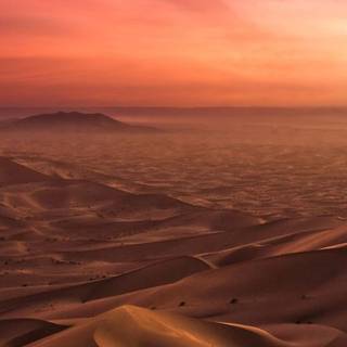 Sahara iPhone wallpaper