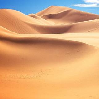 Sahara iPhone wallpaper