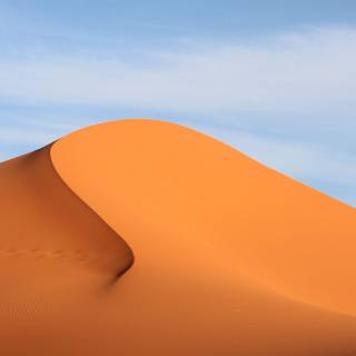 Sahara iPhone wallpaper