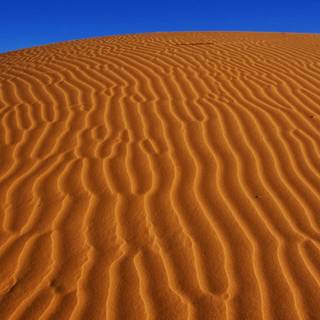 Sahara iPhone wallpaper