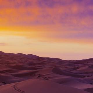 Sahara iPhone wallpaper