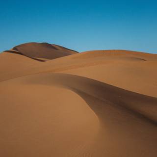 Sahara iPhone wallpaper