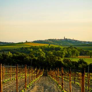 Wine iPhone wallpaper