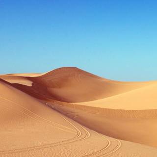 Sahara iPhone wallpaper