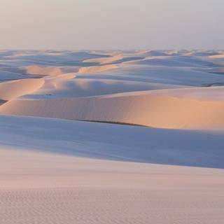 Sahara iPhone wallpaper