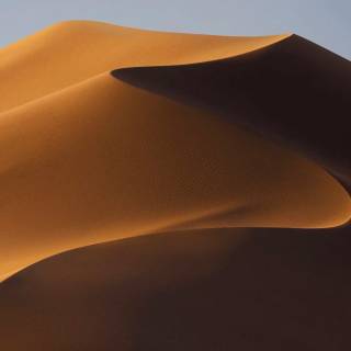 Sahara iPhone wallpaper