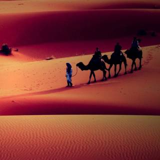 Sahara iPhone wallpaper