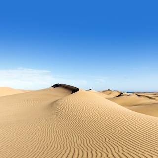 Sahara iPhone wallpaper