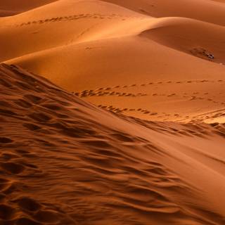 Sahara iPhone wallpaper