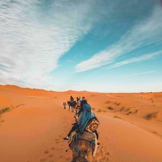 Sahara iPhone wallpaper