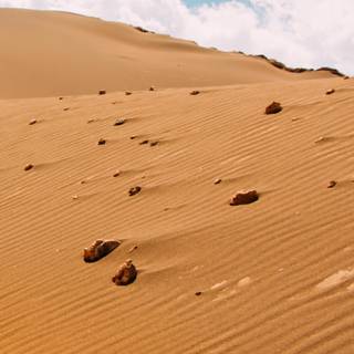 Sahara iPhone wallpaper