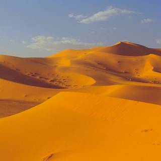 Sahara iPhone wallpaper