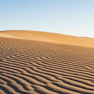 Sahara iPhone wallpaper
