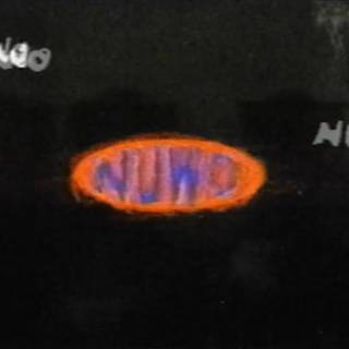 Brent Faiyaz desktop wallpaper