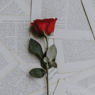 Aesthetic book desktop wallpaper