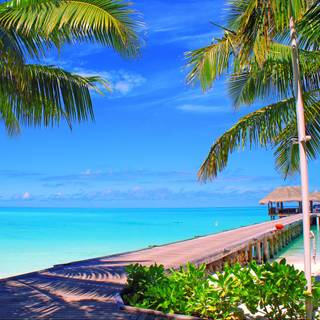 Maldives desktop wallpaper