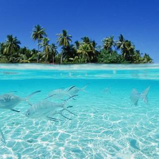 Maldives desktop wallpaper