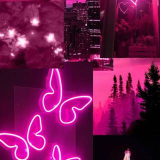 Pink purple phone wallpaper