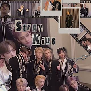 5-Star aesthetic Stray Kids wallpaper