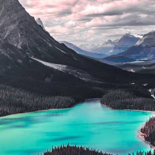 iPhone 11 HD nature 4k wallpaper