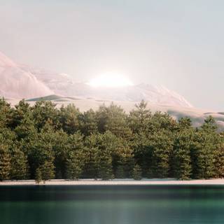 iPhone 11 HD nature 4k wallpaper