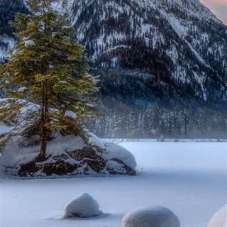 iPhone 11 HD nature 4k wallpaper