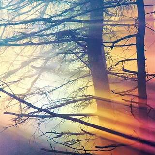 iPhone 11 HD nature 4k wallpaper