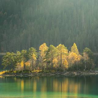 iPhone 11 HD nature 4k wallpaper