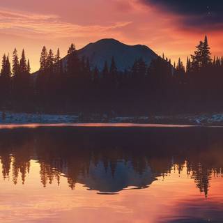 iPhone 11 HD nature 4k wallpaper