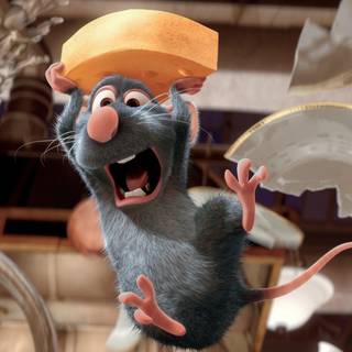 Rat desktop 1920x1080 wallpaper