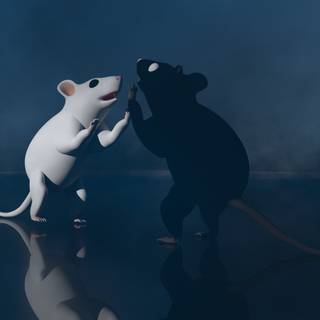 Rat desktop 1920x1080 wallpaper