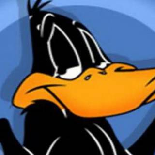 Daffy Duck mobile wallpaper