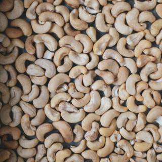 Cashew nuts wallpaper