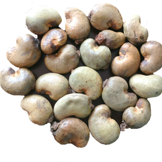 Cashew nuts wallpaper