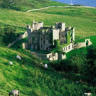 Irish castle wallpaper