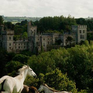 Irish castle wallpaper