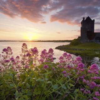 Irish castle wallpaper