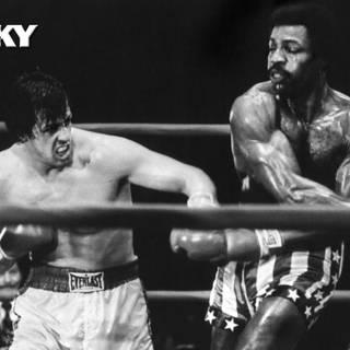 Creed Rocky wallpaper