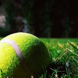 Tennis 4k iPhone wallpaper