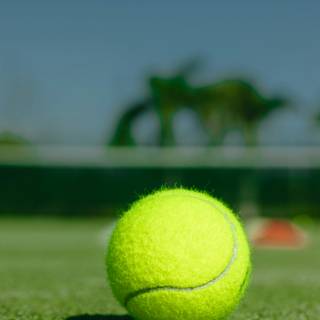 Tennis 4k iPhone wallpaper