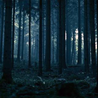 Night ambience desktop wallpaper