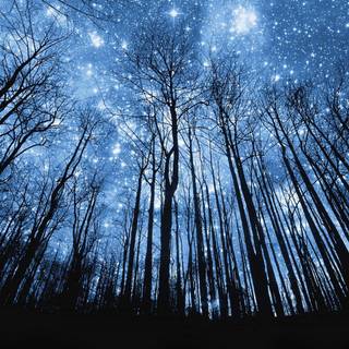 Night ambience desktop wallpaper