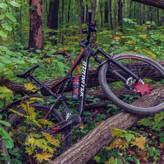 Specialized bikes wallpaper