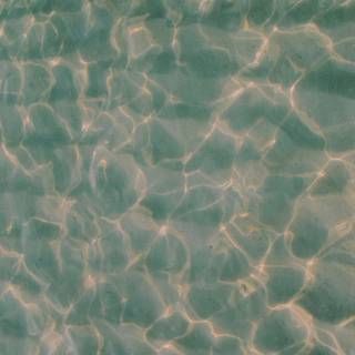 Summer Y2k wallpaper