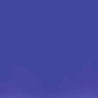 Derpy tiger wallpaper