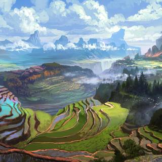 Rice terrace wallpaper