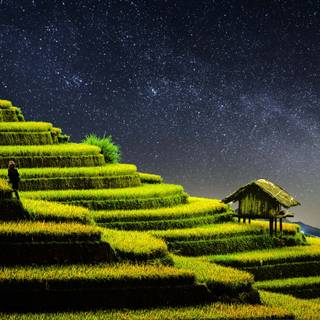 Rice terrace wallpaper