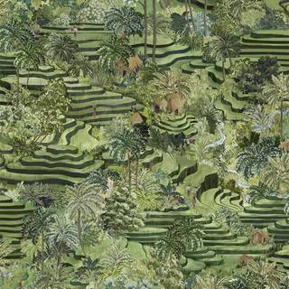 Rice terrace wallpaper