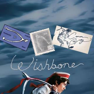 Wishbone wallpaper